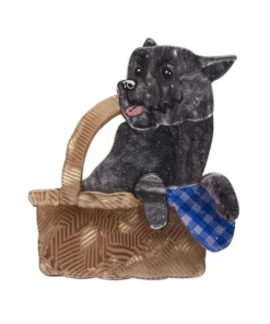 Erstwilder X The Wizard Of Oz Toto Brooch