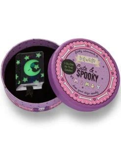 Erstwilder X Mimsy Lunar Ellipses Brooch